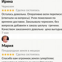 Чернозем